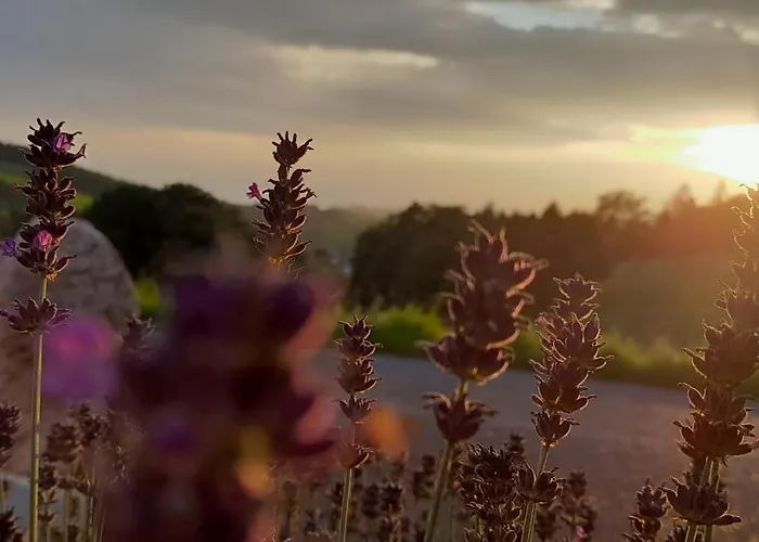 Im Herzen Muehlviertels * باد زل