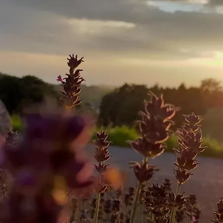 Im Herzen Muehlviertels * Bad Zell