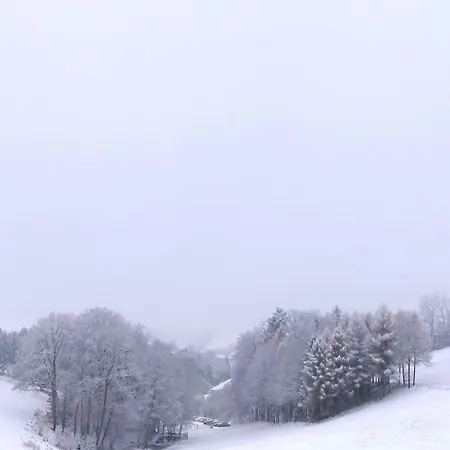 Appartamento Im Herzen Muehlviertels *