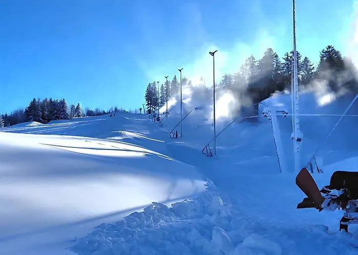 Appartement Im Herzen Muehlviertels